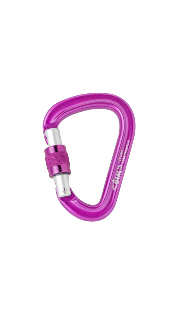 کارابین پیچ مدل  Be Safe بئال - BEAL Be Safe Screwgate HMS Carabiner
